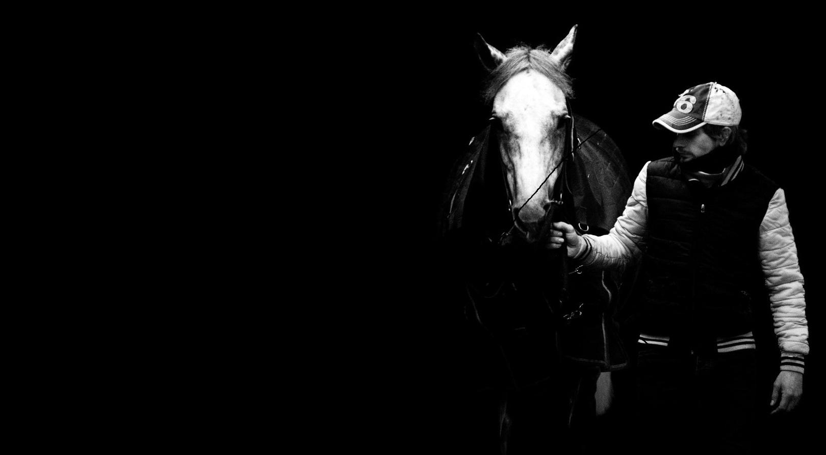 illustration photographie photographie cheval à caen argences normandie